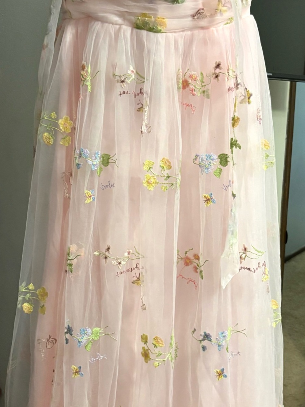 Sheer Pink Floral Embroidered Maxi Skirt